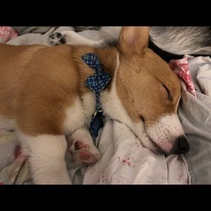 Meet your Posher, Michelle